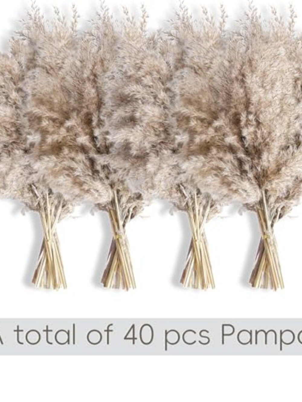 New 40 PCS Nature Pampas Grass Bouquet Decor - Boho Flowers and Feathers